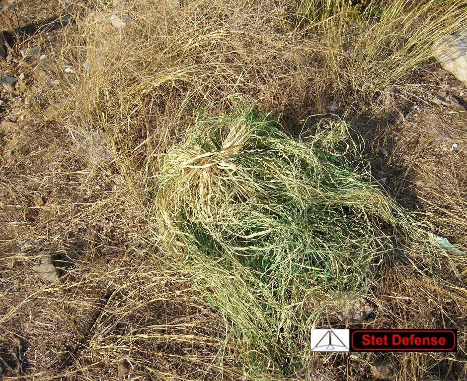 CLIQUE AQU� PARA VOLVER!