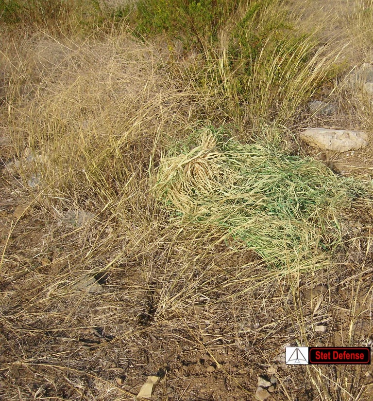 CLIQUE AQU� PARA VOLVER!