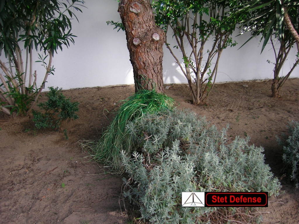 CLIQUE AQU� PARA VOLVER!